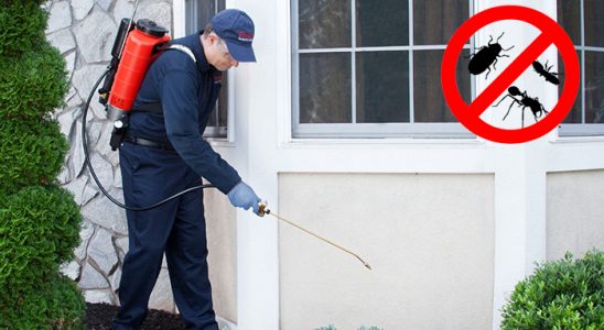 Beşiri Karınca İlaçlama böcek ilaçlama ve haşere kontrolü — ilaclama-tr.com